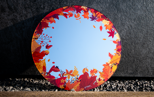 Herfst Spiegel - Een Warmhartige Reflectie van het Seizoen