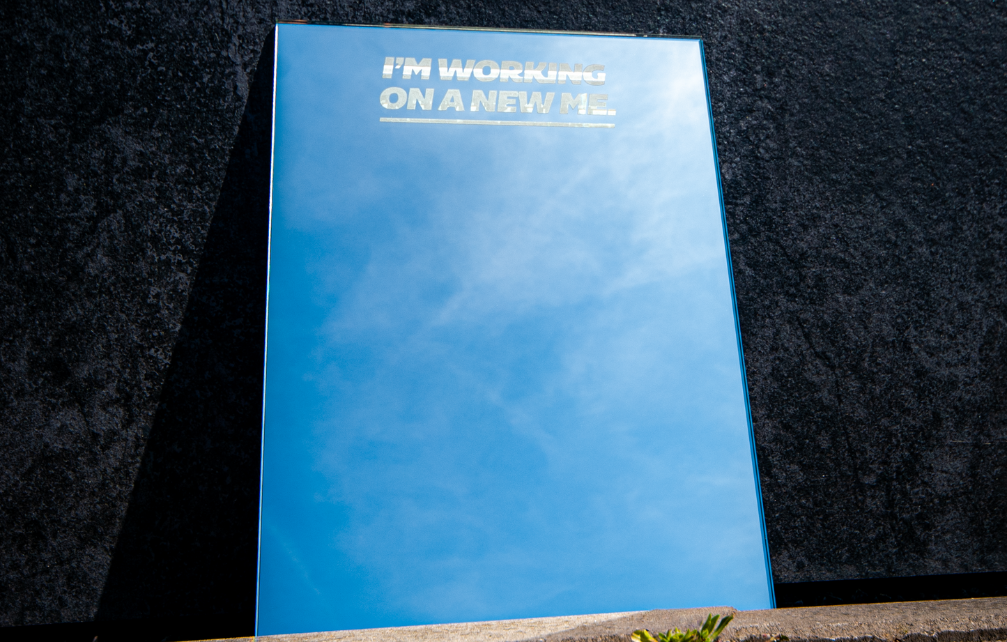 WORKING ON A NEW ME. Motivatie-spiegel