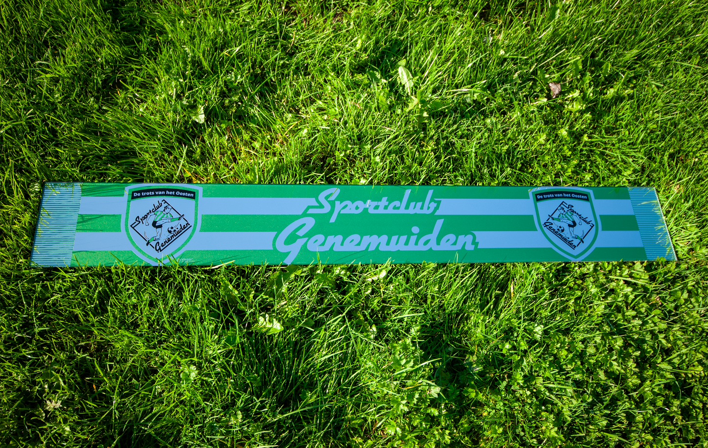 SC Genemuiden Voetbalsjaalspiegel